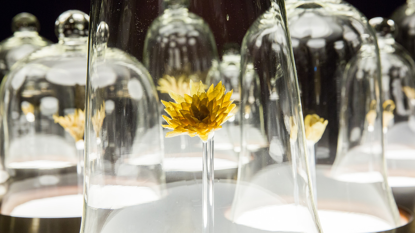 Here's who I am, I am what you see