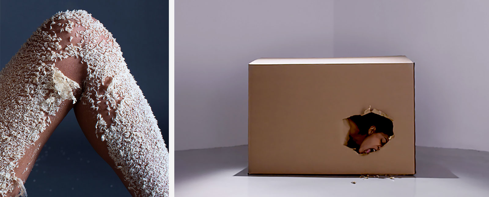 Under My Skin (left) and A bird that won't sing (right)