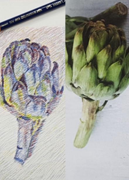 expressive coloured pencil