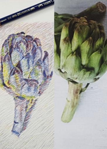 expressive coloured pencil