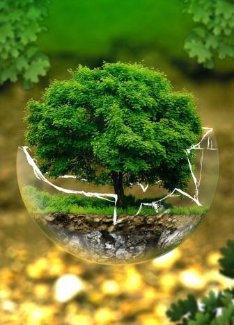 ma-arts-ecology-environmental-protection-326923_1280